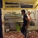 -pizzeria Villa Brunella - -