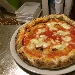 -pizza gusteria - -