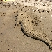 -giochi di spiaggia - -