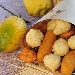 -fritto napoletano - -