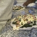 -pizzaunesco - -