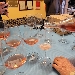 primo brindisi con Scighera - -