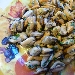 Tortello di zucca con un cuore di cozze - -