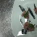 -tartar di tonno rosso  - -ristorante il peperoncino ( Massafra  ta)