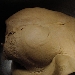 Cappellacci di merlot ripieni di trevigiana e bastardo del Grappa su crema di noci e zafferano - impasto - -