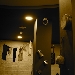 Vasinicola 02 - -
