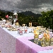 RICEVIMENTO A VILLA RIZZO - -