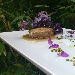 Hamburger di maialino da latte, salsa di fichi e patata viola croccante - -