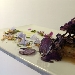 Hamburger di maialino da latte, salsa di fichi e patata viola croccante - -