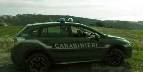 immagine in primo piano della News: ACCORDO TRA CARABINIERI E COLDIRETTI
A TUTELA DELLA FILIERA AGROALIMENTARE E DELL’AMBIENTE
firma del protocollo d’intesa, giovedì 12 luglio 2018, alle ore 12.45, presso l’Abbazia di Vallombrosa a Reggello in provincia di Firenze immagine in primo piano