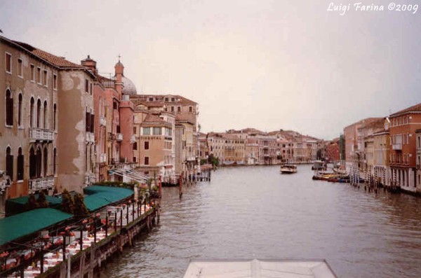 immagine in primo piano
