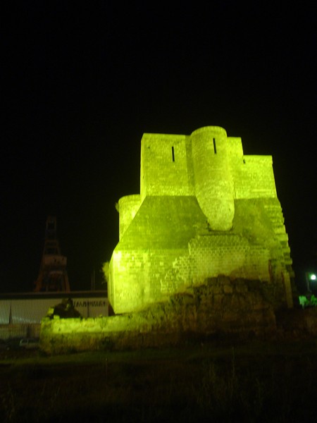 immagine in primo piano