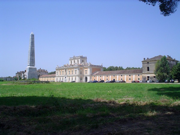 immagine in primo piano