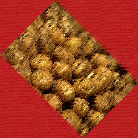 immagine in primo piano