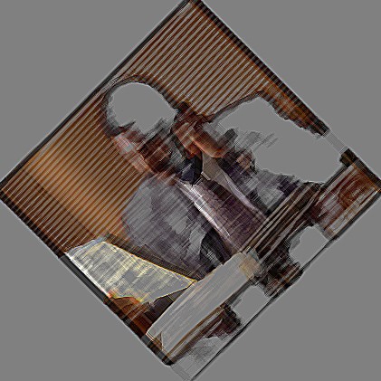 immagine in primo piano