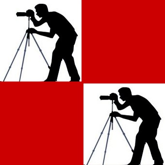 immagine in primo piano