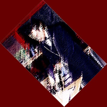 immagine in primo piano
