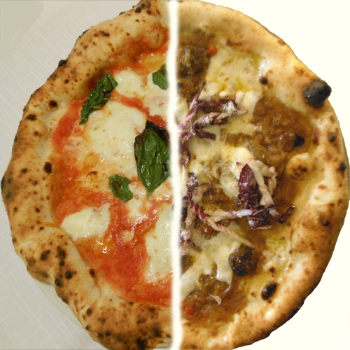 immagine in primo piano