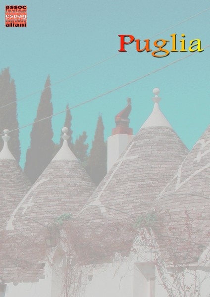 immagine in primo piano