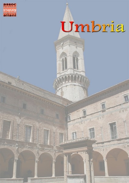 immagine in primo piano