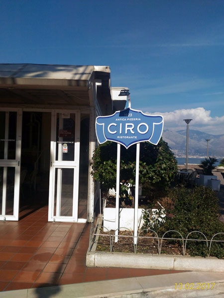 immagine in primo piano