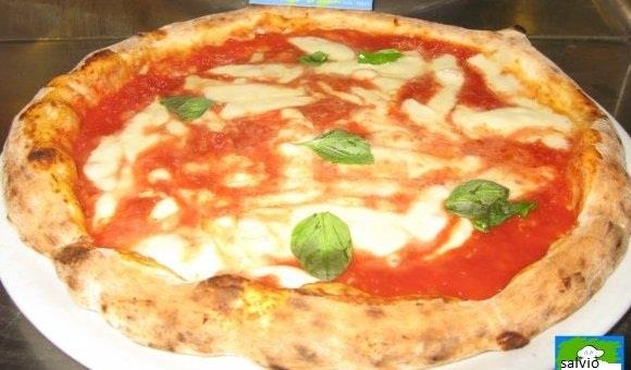 immagine in primo piano